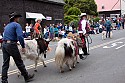 July 4, 2009 parade and festivities in Mendocino CA.