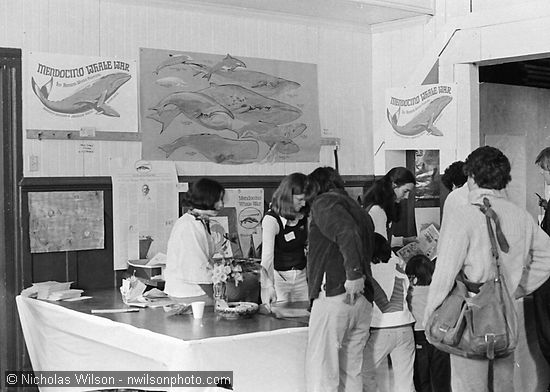 Mendocino Whale War volunteers show exhibits in Crown Hall during the 1st Annual Mendocino Whale Festival in March 1976