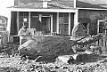 Redwood chips fly as Byrd Baker uses a chain saw to carve a log into a whale sculpture in front of his home at 45020 Ukiah St. in Mendocino. Photo © 1976 Nicholas Wilson, PO Box 943, Mendocino CA 95460. Neg 3-19-76-32. Scanned from 35 mm neg at 2700 dpi using Nikon LS-2000 on 2/19/01.