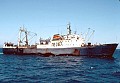 The Aleksandrovsk, one of over a dozen 300 ft. trawlers from the Soviet Union dragging huge nets on the ocean bottom just outside the then 12-mi. limit of U.S. jurisdiction.