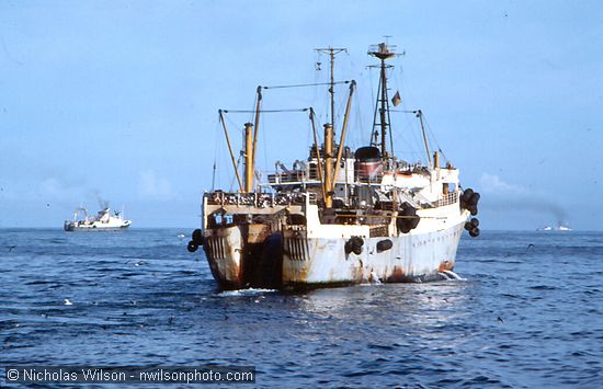 The Aleksandrovsk, and at least three others out of over a dozen 300 ft. trawlers from the Soviet Union just outside the then 12-mi. limit of U.S. jurisdiction.