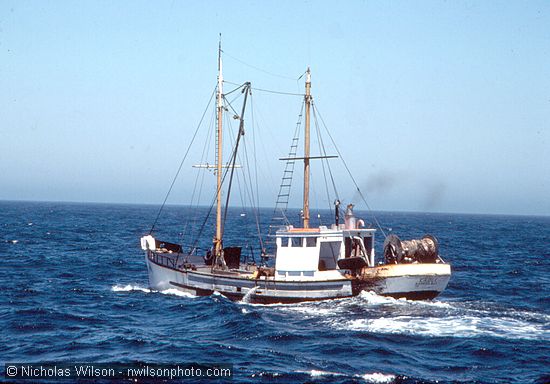 The U.S. fishing boat Eagle out of Bodega Bay. Compare this to the dozen Soviet 300 ft. trawlers operating in the same area.