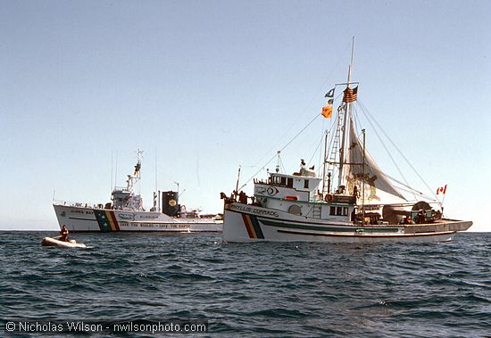 The Mendocino Whale War boat Phyllis Cormack with the Greenpeace ship James Bay and a Zodiac inflatable during a July 1, 1976 ocean rendezvous.