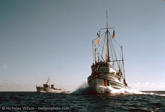The Mendocino Whale War charter boat Phyllis Cormack at full speed leaves the James Bay after meeting at sea July 1, 1976