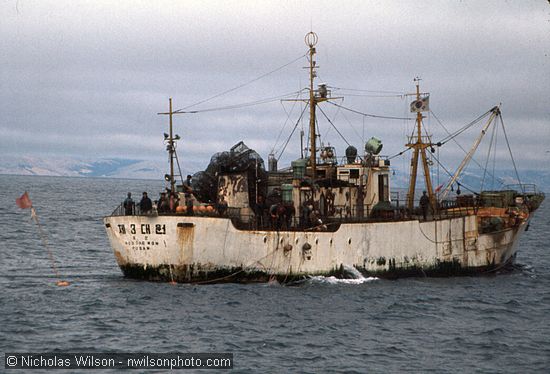 Korean crabber has just put out half its pots within sight of the California coast in background, just outside the 12-mile limit in July 1976.