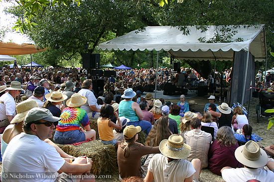 Audience at Arlo Hagler Memorial Stage