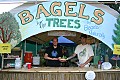 Bagels for the Trees by Trees Foundation from Garberville