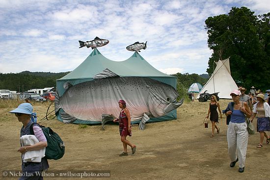 Friends of the Eel River had a unique salmon tent