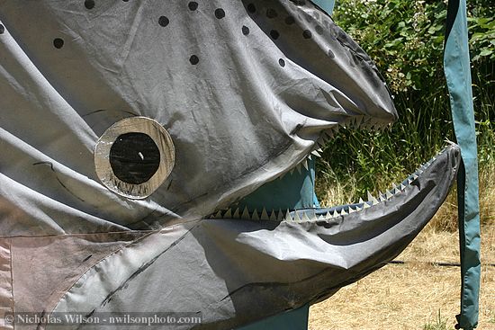 Detail of the Friends of the Eel River salmon tent