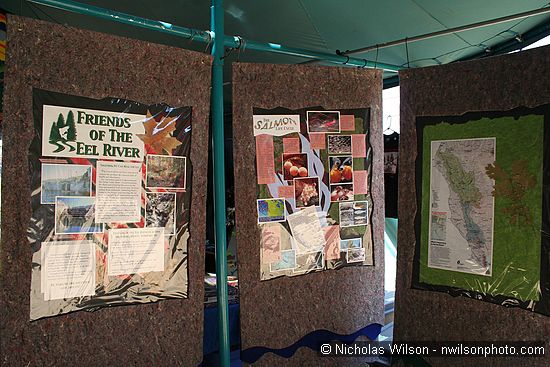 Inside Friends of the Eel River salmon tent