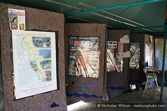 Inside Friends of the Eel River salmon tent