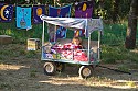 Child in a comfy wagon