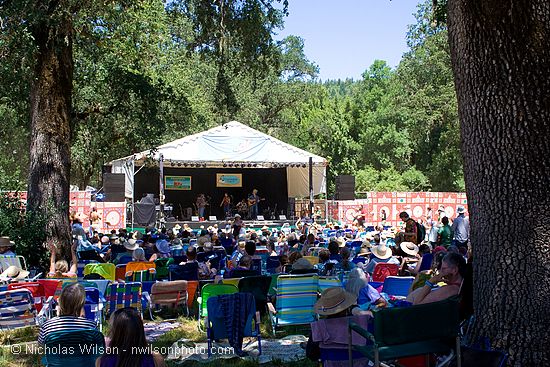 View from the shade as The Mammals take the main stage