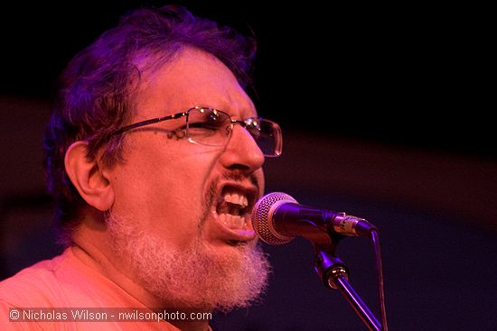 David Bromberg sings the blues