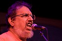 David Bromberg sings the blues