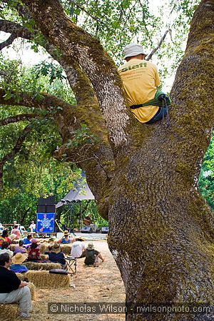 Scenes at the Kate Wolf Memorial Music Festival 2008