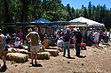 The Revival Tent is one of the intimate stages at the Kate Wolf Festival.