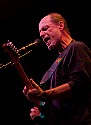 Little Feat