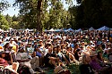 Baka Beyond on the Main Stage Sunday afternoon