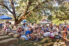 The Arlo Hagler stage audience enjoys the Houston Jones band