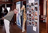A visitor at the Oddfellows Hall box office checks out Nicholas Wilson's photo display from the first five seasons of the Mendocino Film Festival.