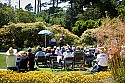 Greg D'Augelli on tenor sax with Grant Levin on piano at the Mendocino Coast Botanical Gardens