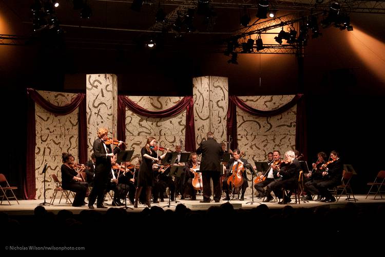 The Mendocino Music Festival Chamber Orchestra featuring soloists from the Emerging Artists program.