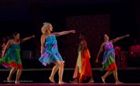 Award-winning dance company Viver Brasil provided a colorful, high energy performance.