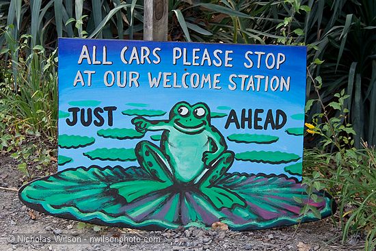 Friendly frog points the way for incoming visitors to the Solar Living Center.