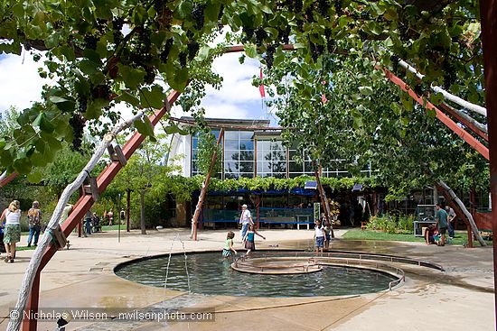 Fruit bearing grapevines frame this view of the fountain and Real Goods store entrance during SolFest 2007