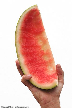 The winner's watermelon rind