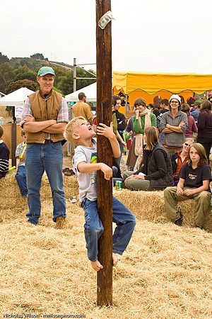 The popular greased pole climb offers elusive cash prizes.