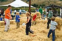 Fun in the hay