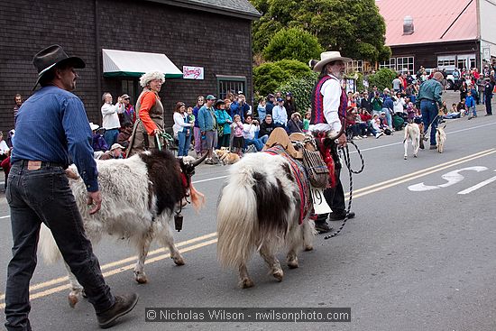 July 4, 2009 parade and festivities in Mendocino CA.