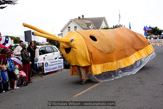 July 4, 2009 parade and festivities in Mendocino CA.