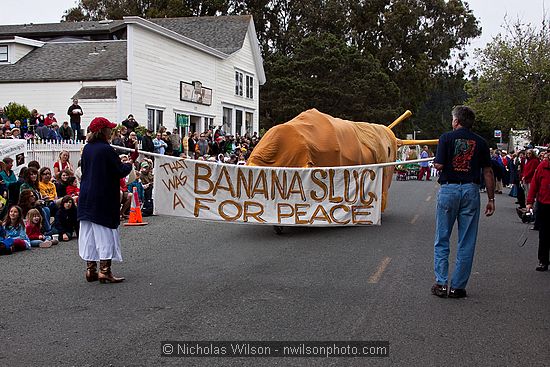 July 4, 2009 parade and festivities in Mendocino CA.