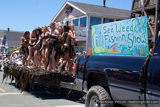 Sea Weed Fashion Show from Elk.