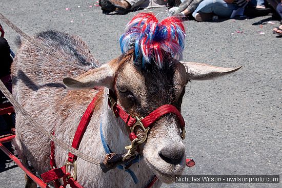 July 4, 2010 parade in Mendocino CA