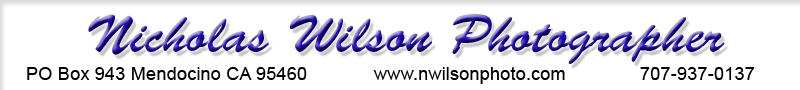 Nicholas Wilson Photographer web banner